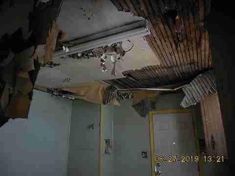 1085 Patricia (10)_m.jpg